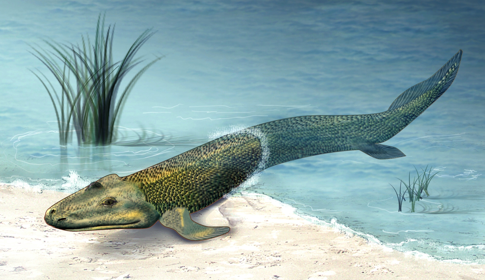 Scientists Discover New Clues About the Origins of Life on Earth