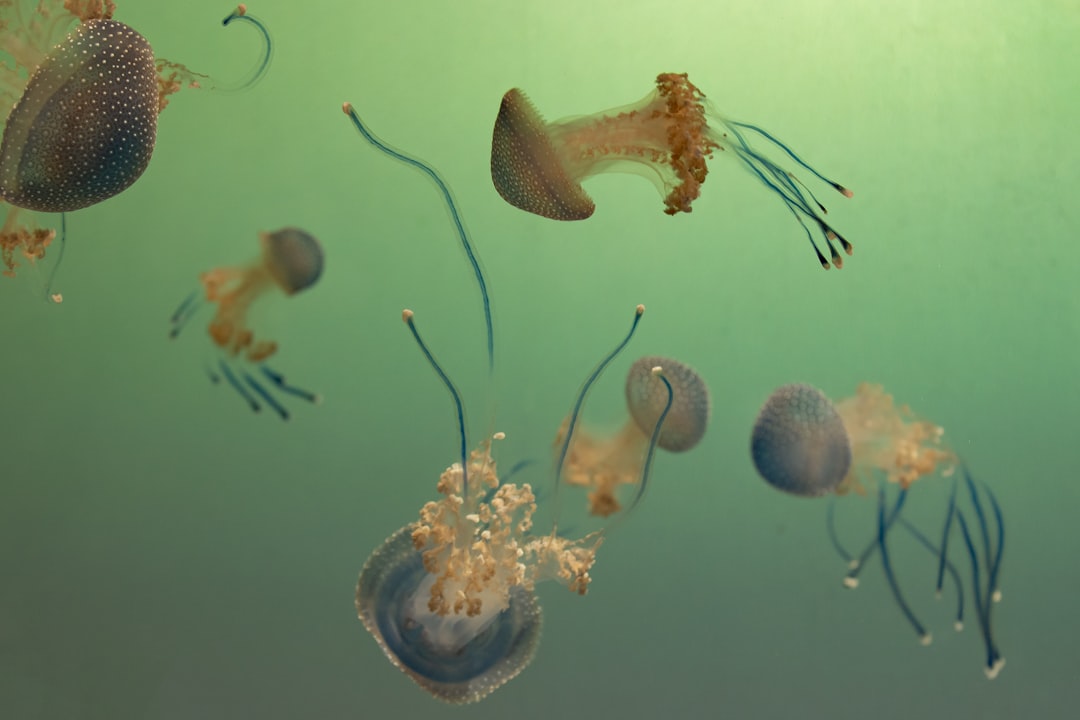 The Universe’s Most Extreme Environments and How Life Survives Them