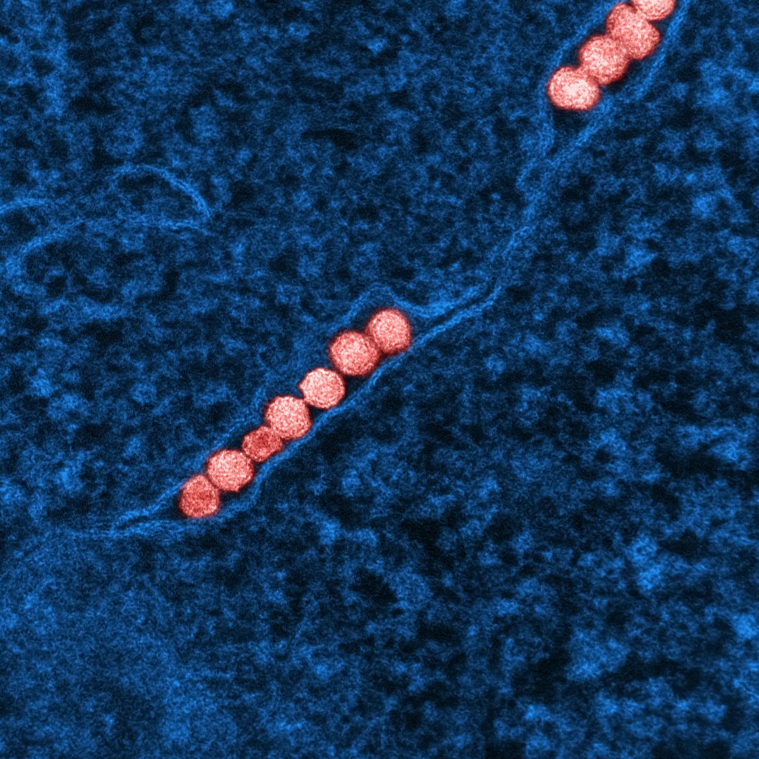 Scientists Are Closer to Understanding How Life First Began on Earth