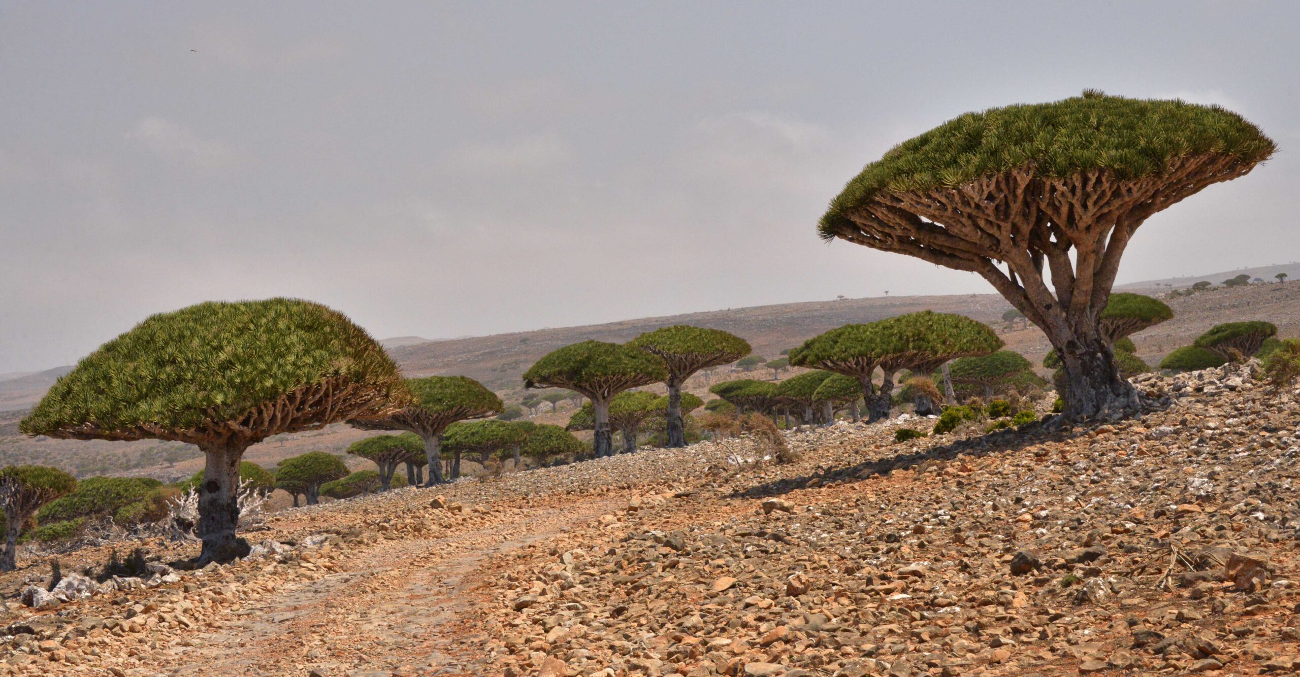 10 Hidden Worlds: Uncovering Earth’s Most Secluded and Mysterious Places