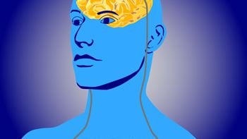 What If We Could Erase Bad Memories?: Inside the Race to Rewrite the Human Mind