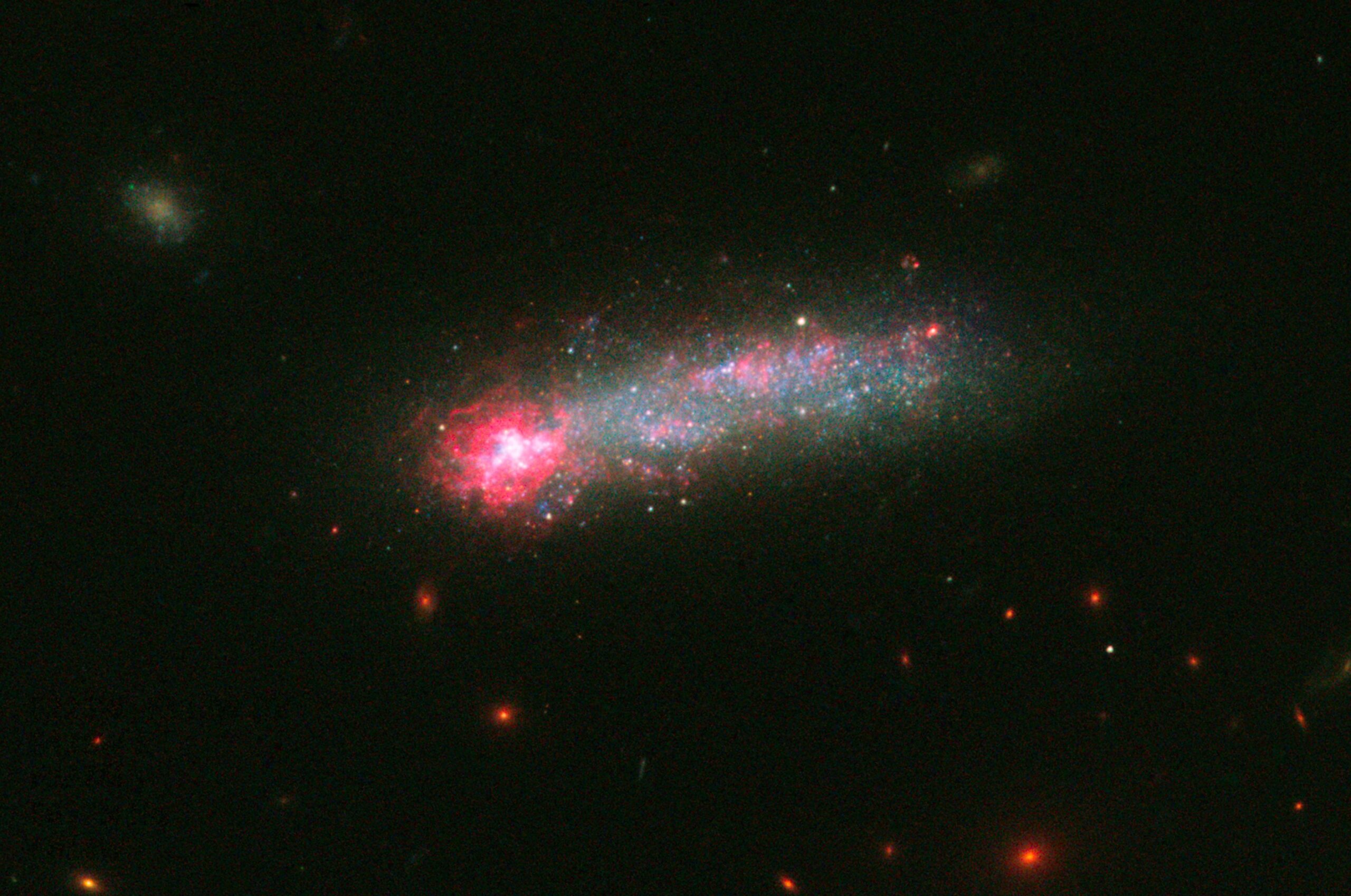 Cosmic Threads in Motion: How a Spinning Filament Is Challenging Galaxy Origins