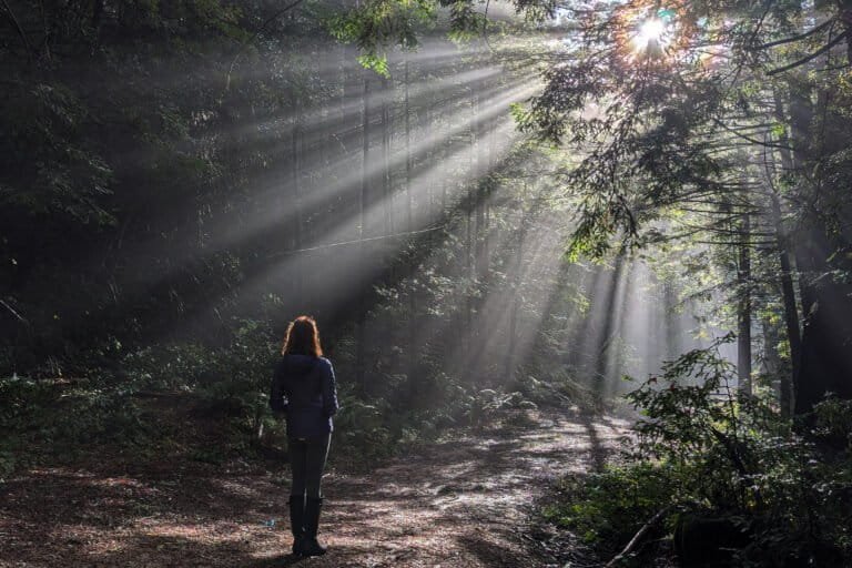 15 forces that could reshape conservation in the next 10 years