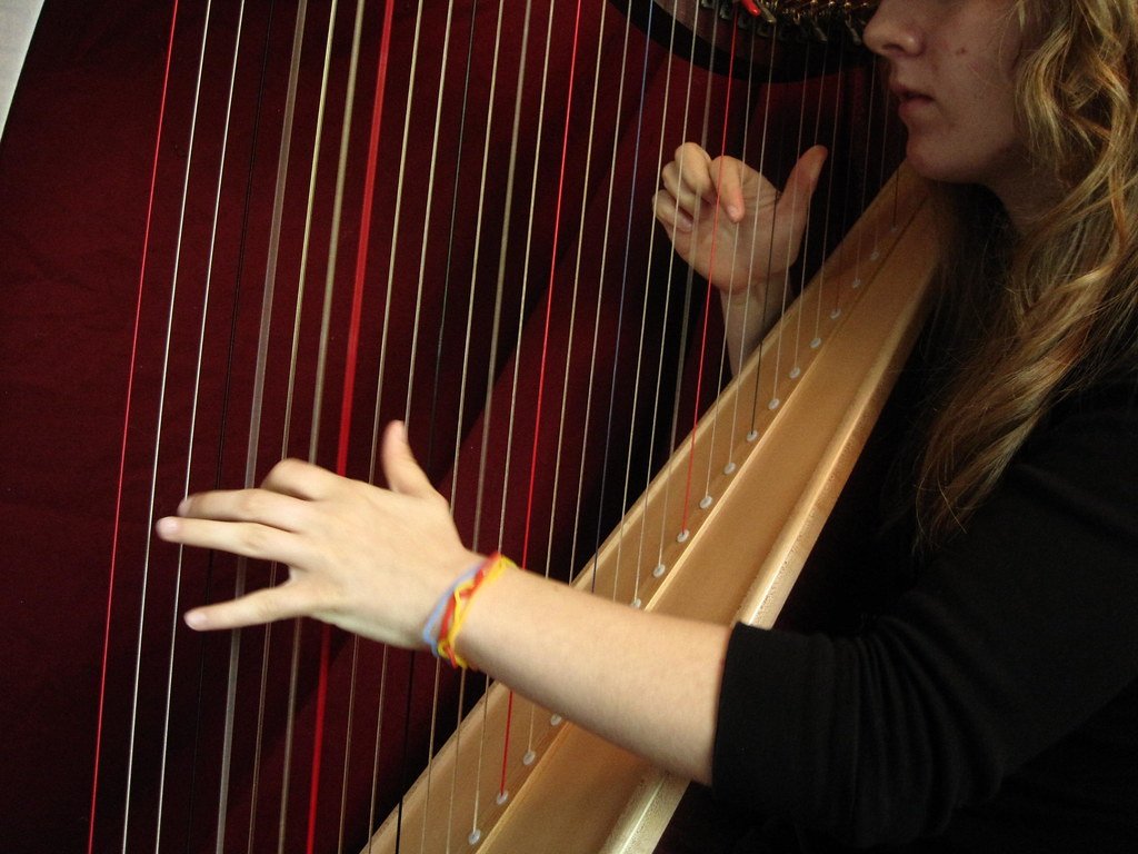 What our brains are doing as we experience musical pleasure.