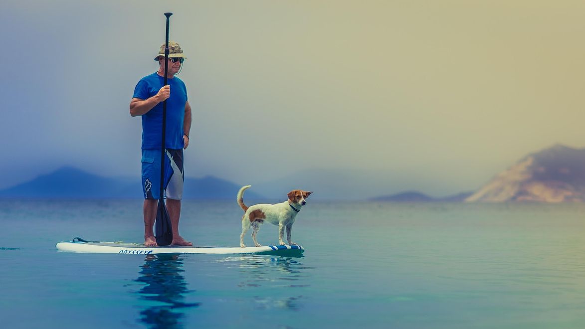 Zodiac Signs That Struggle With Emotionally Needy Dog Breeds