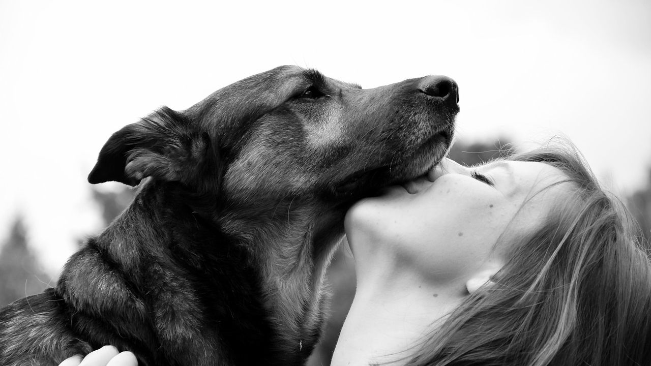 When Astrology Gets It Wrong: Dog Breeds Your Zodiac Sign Can’t Handle