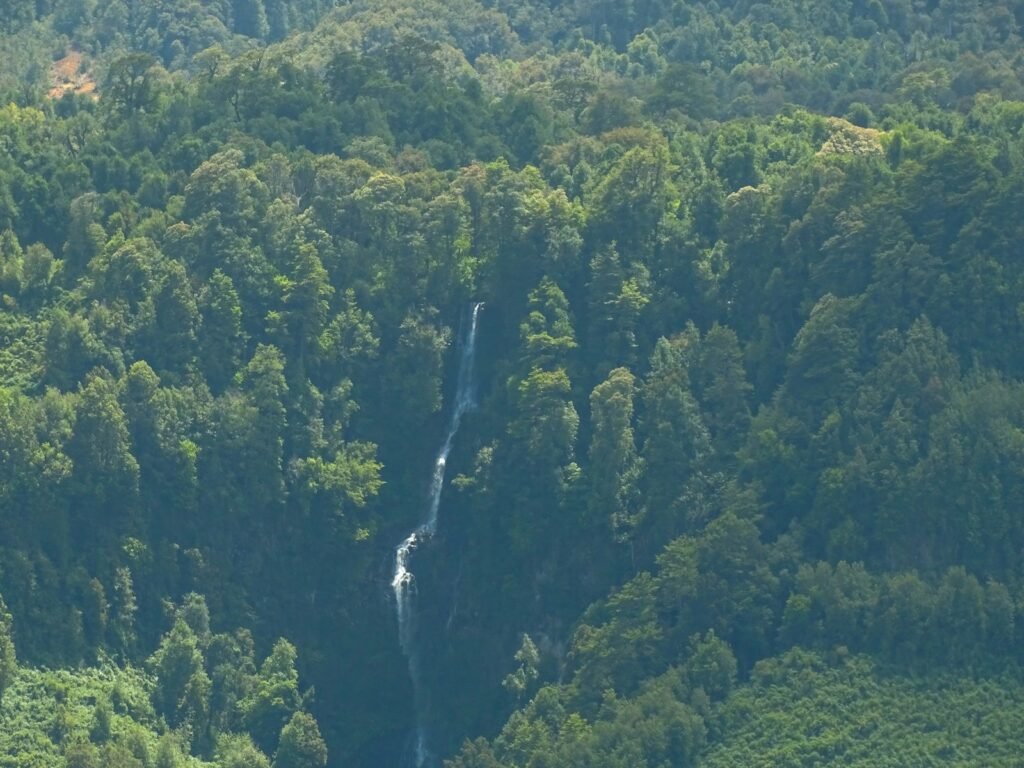 a waterfall in the middle of a forest