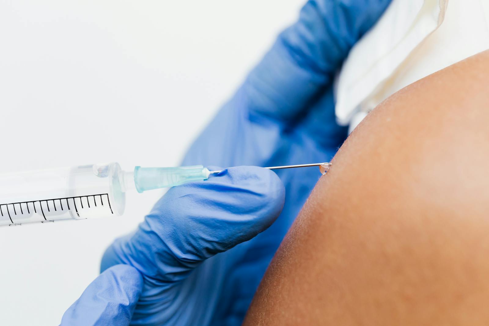 Human Body’s Hidden Defenses: How Your Immune System Fights Disease