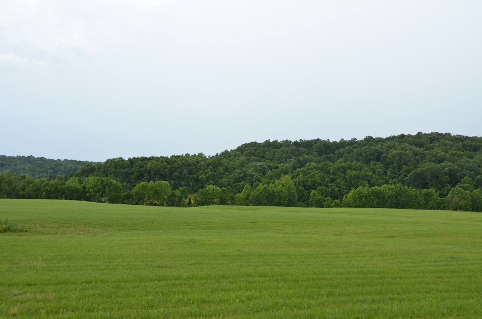 10 Ways the Creek (Muscogee) Shaped the Early American Southeast