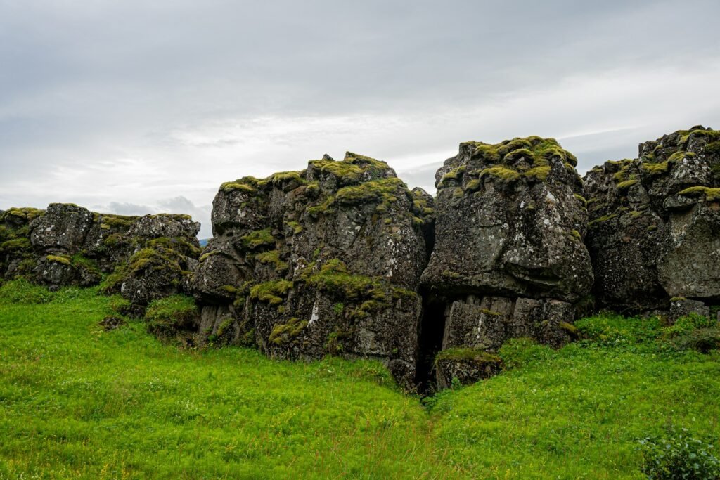 Green mossy rocks and grass under a cloudy sky.
