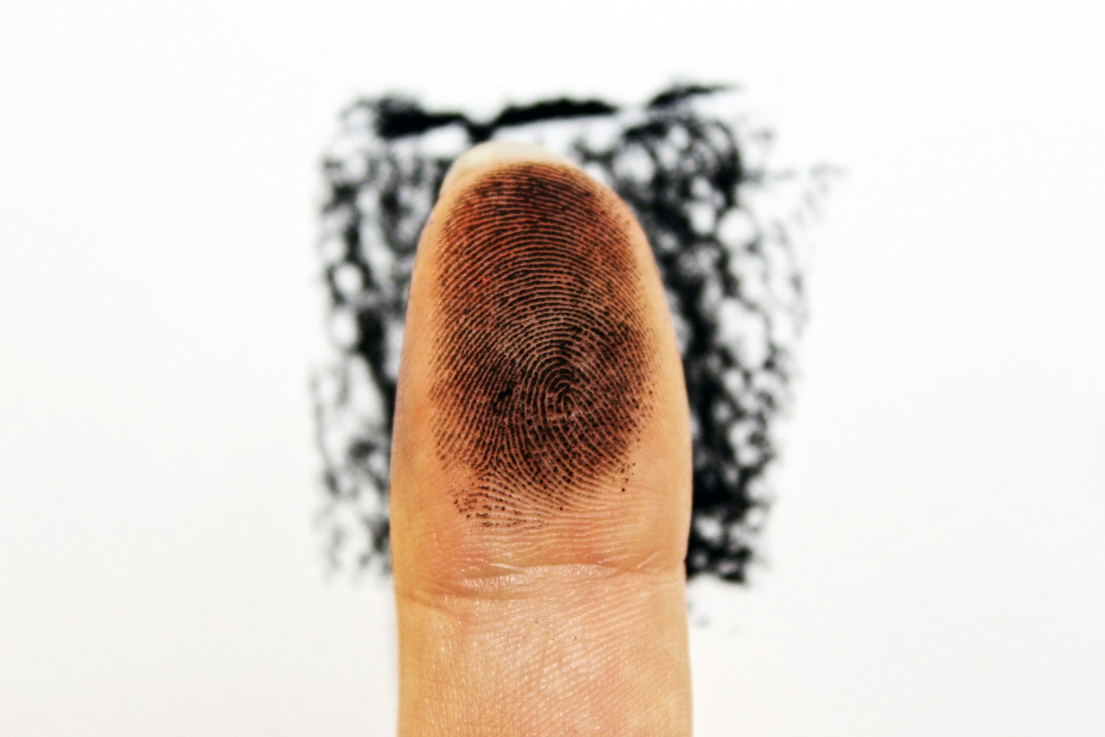 What Makes Our Fingerprints Unique?
