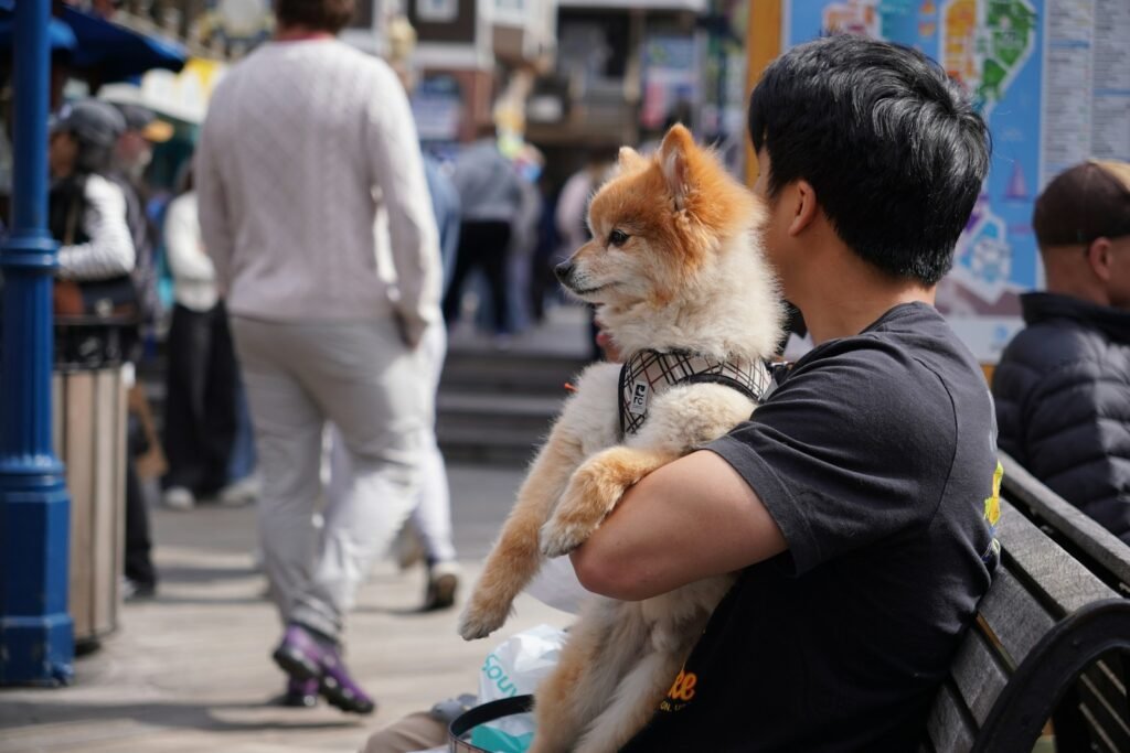 A man holds a dog while sitting outside.