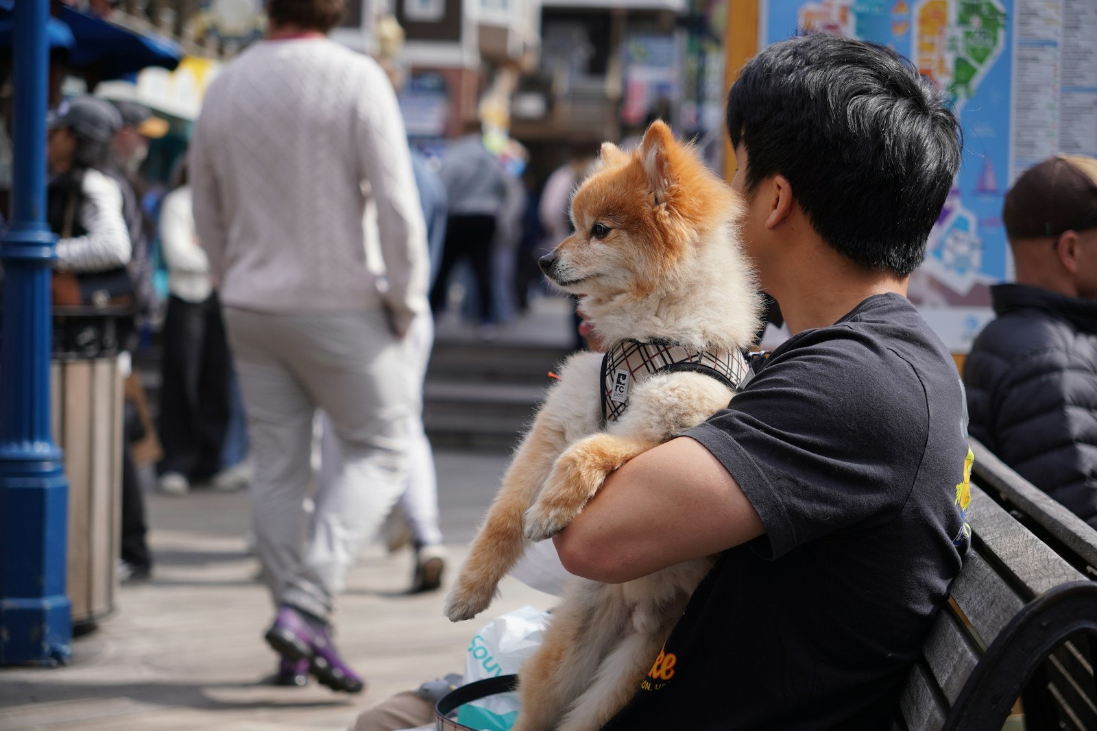 The Cosmic Connection Between You and Your Dog’s Soul