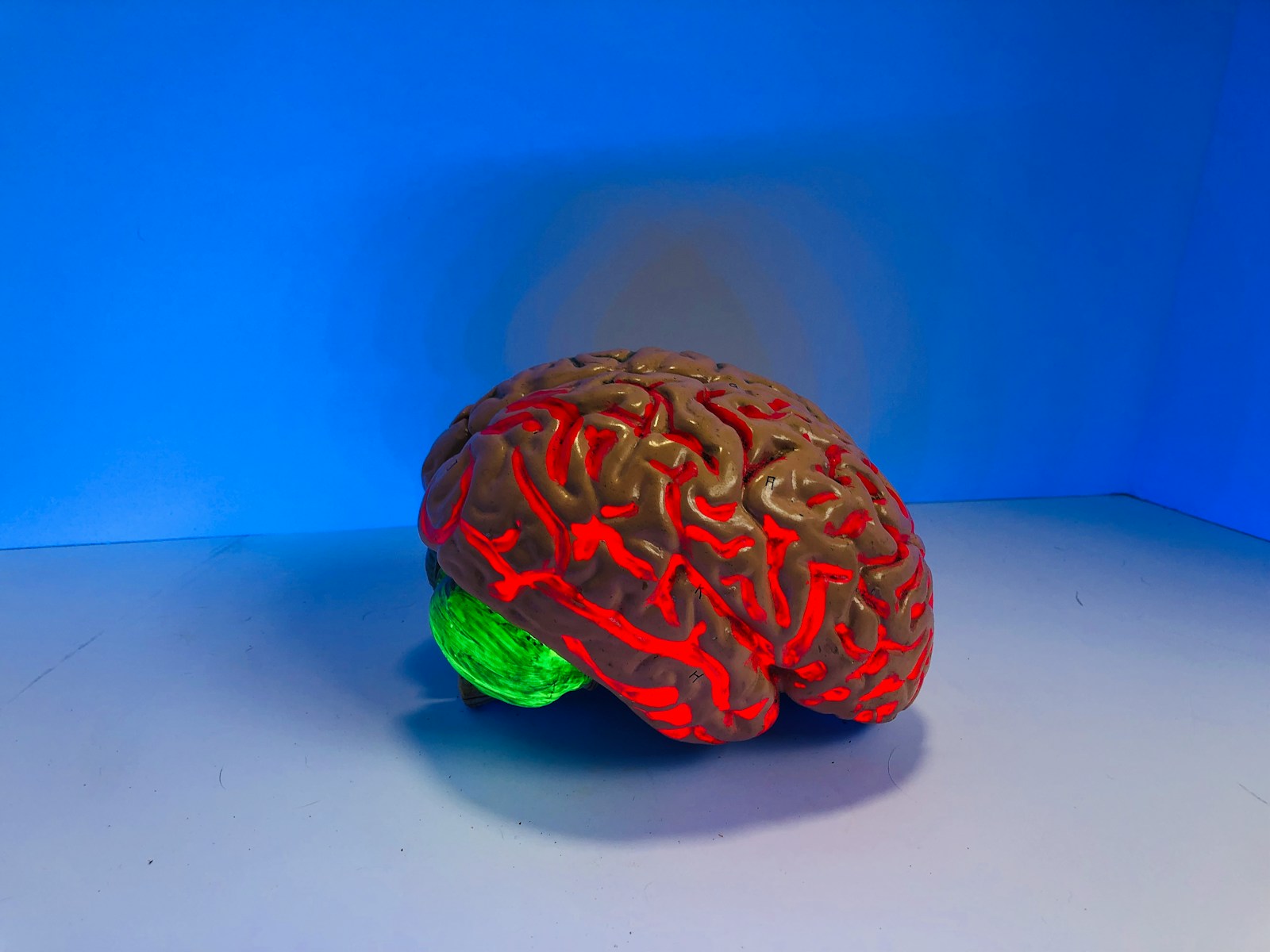 The Human Brain Can Create New Neurons, Even in Old Age: Inside the Science of a Surprisingly Young Mind