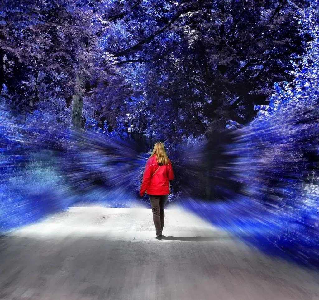 The Theory That Consciousness Shapes Reality: What Modern Physicists Really Think