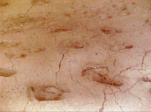 Ancient Footprints Rewrite the Timeline of Human Arrival 