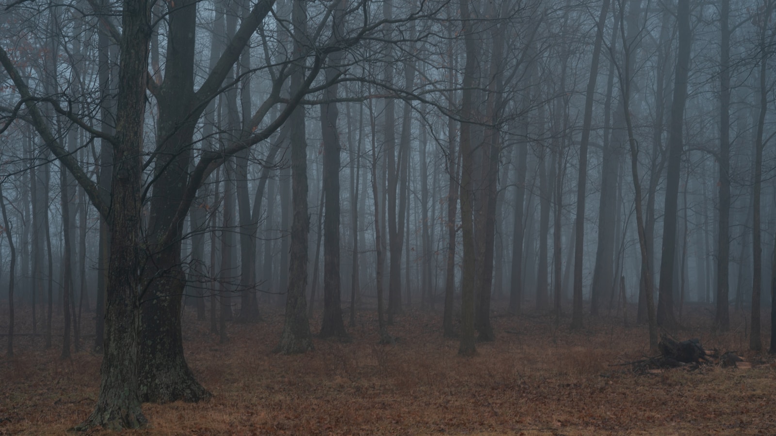 10 Creepiest Places in The USA That Are Said To Be Haunted