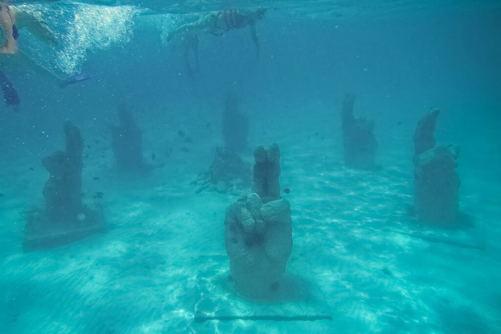 A group of people swimming in a pool of water