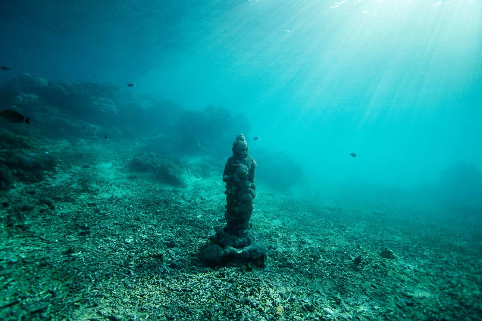 10 Scientific Mysteries of the Deep Sea That Still Puzzle Researchers Today