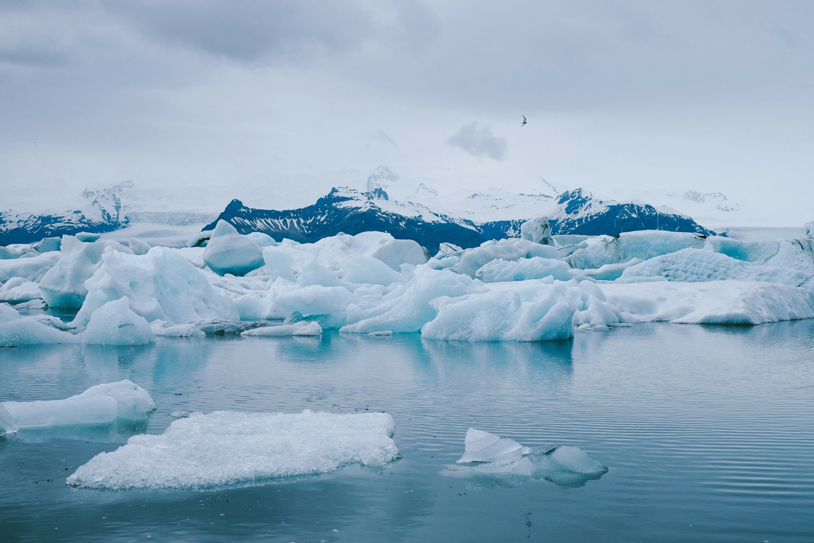 Our Planet’s Vanishing Glaciers: What Their Retreat Means for the Future