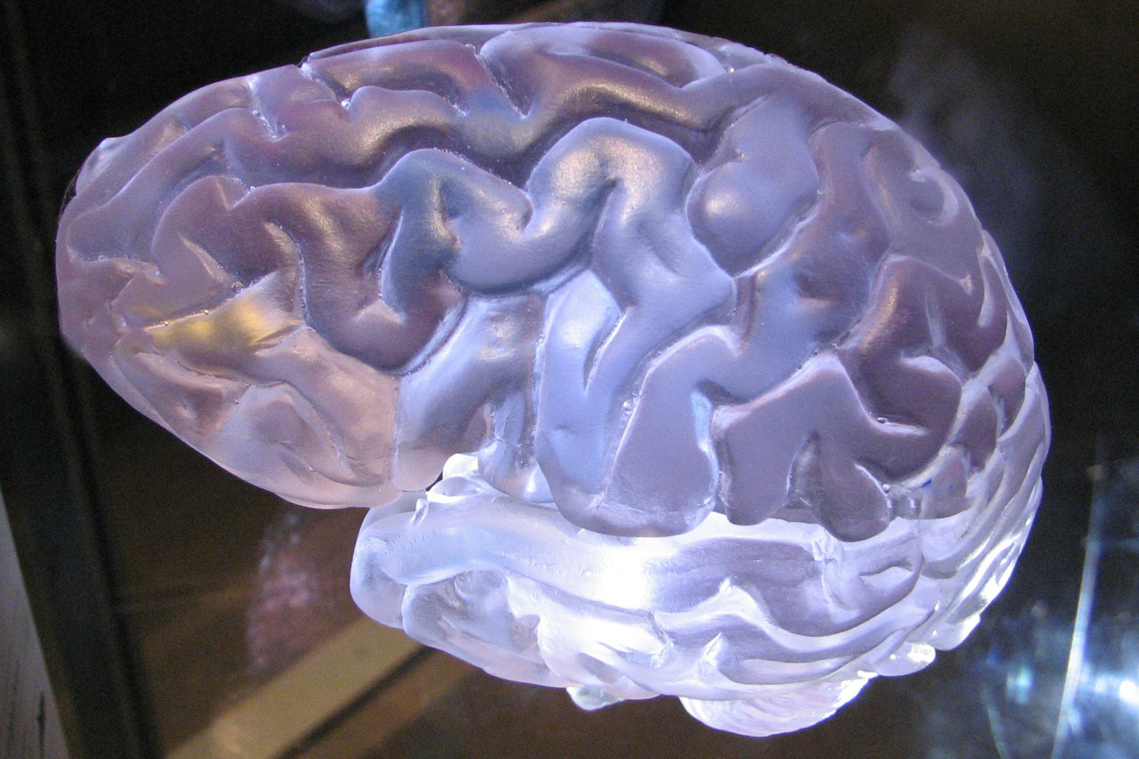 The 2026 Brain: Smarter, Faster, Stronger?