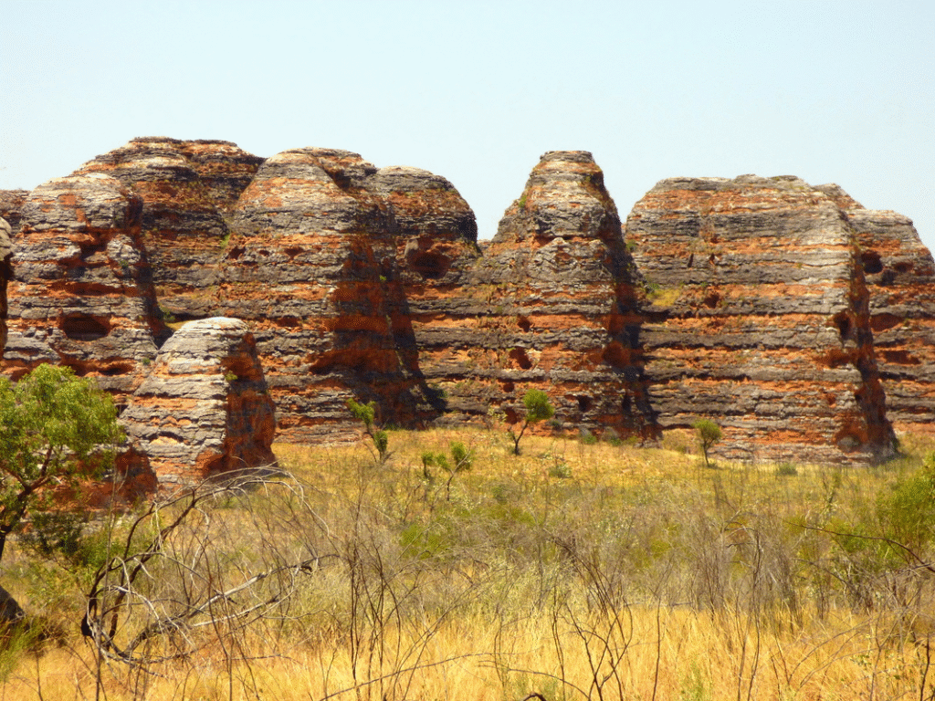 From Tourist Curiosity to International Sensation 