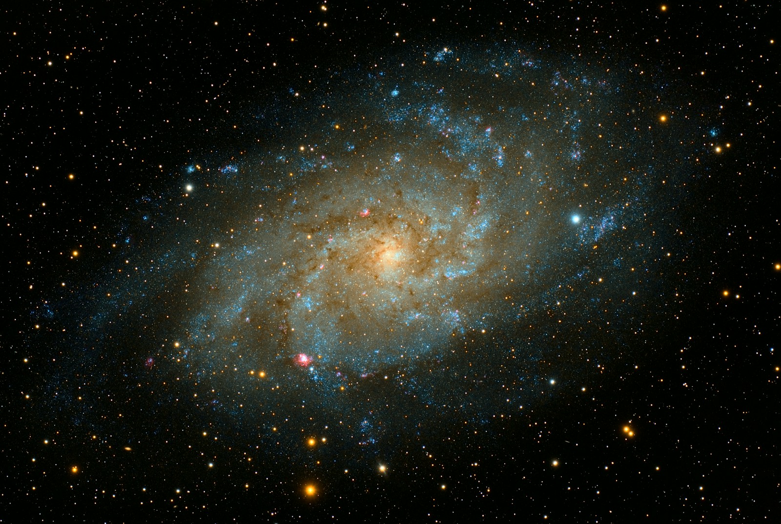 Our Universe Might Be a Living Organism, New Theories Suggest