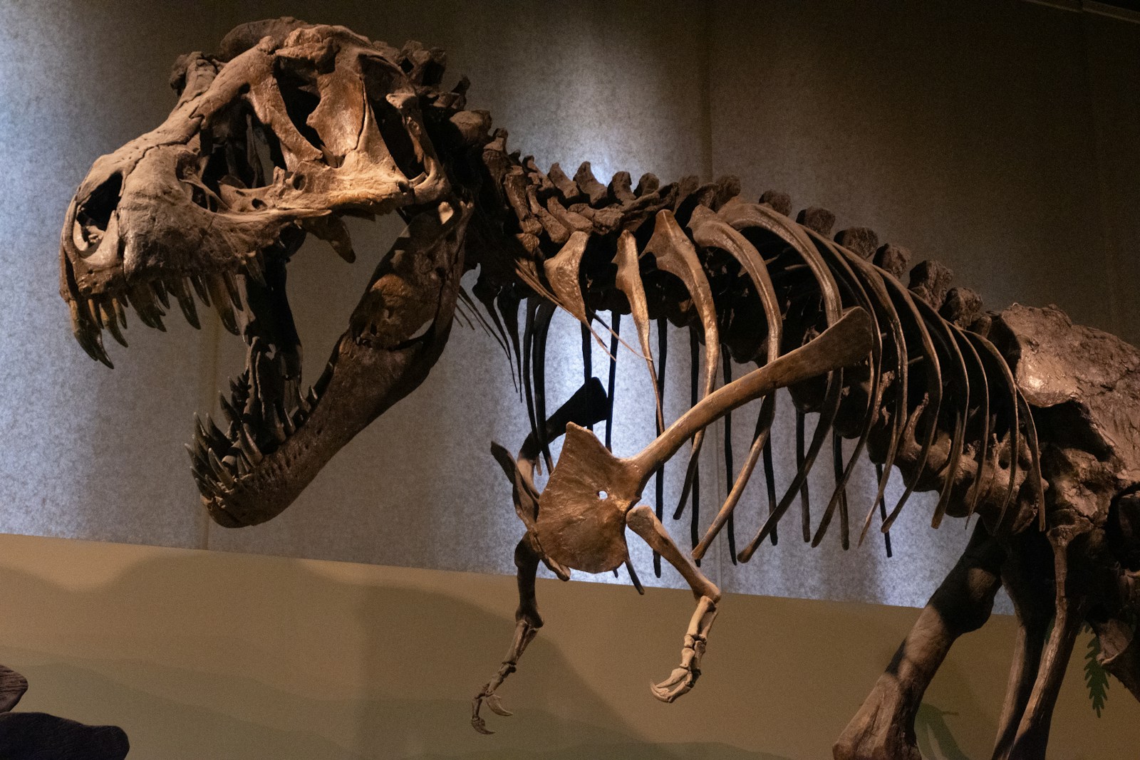 8 Incredible Discoveries That Changed Our Understanding of Dinosaurs