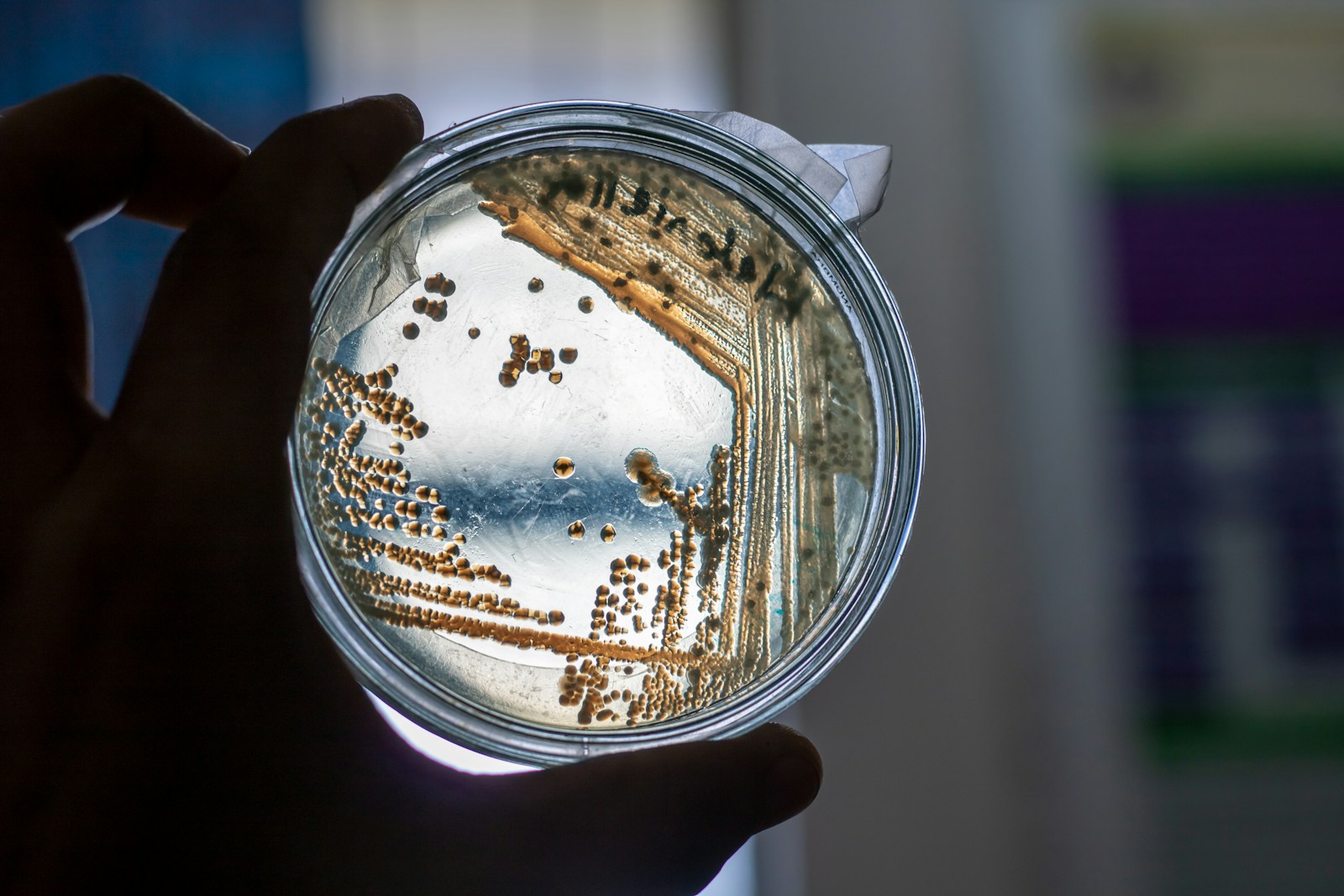 The Unseen World: Discovering Microbes That Shape Our Planet