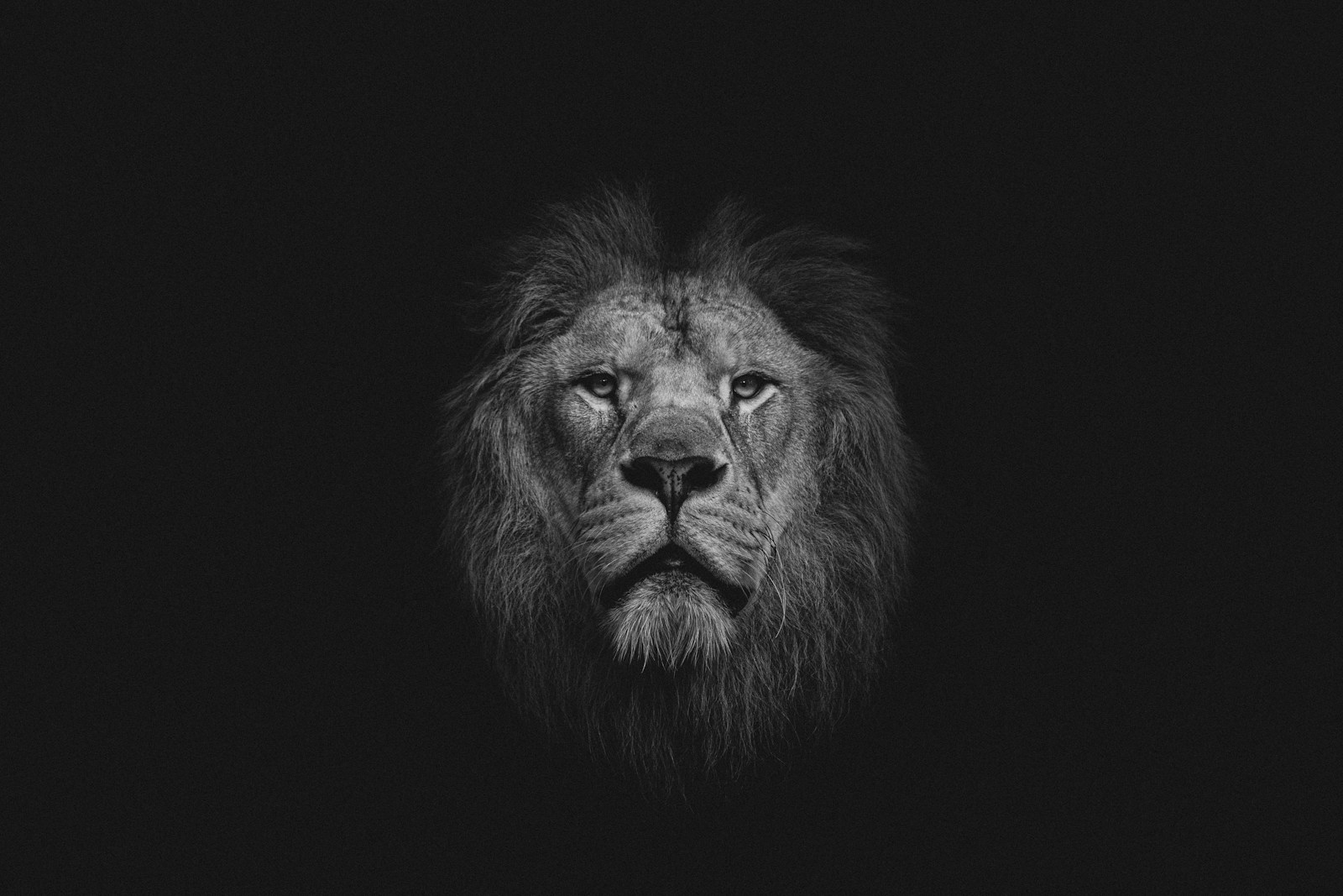 If Your Zodiac Sign is Leo, Here Are 12 Things It Says About You