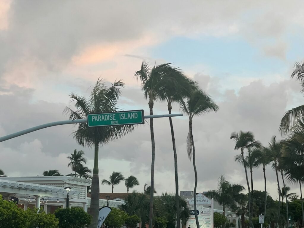 A street with palm trees and a street sign
