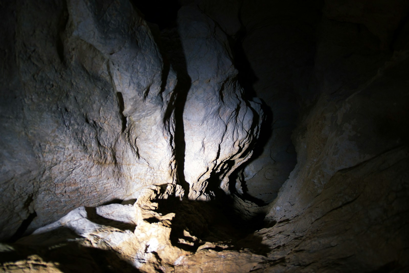 The Most Unusual Energy Sources Found in Nature
