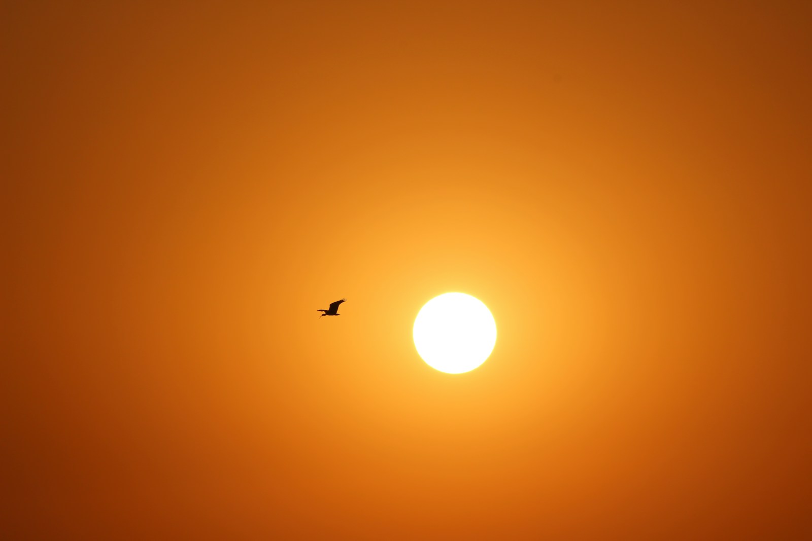 Our Sun Is More Mysterious Than We Think, New Discoveries Show