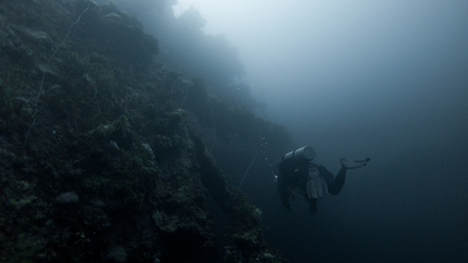 The Ocean’s Deepest Trenches Hold Creatures You Won’t Believe Exist