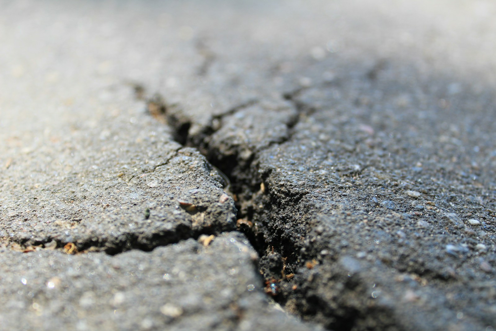 Could AI Predict Earth’s Next Big Quake?