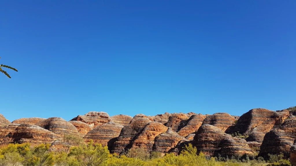 A New Appreciation for Hidden Wonders 