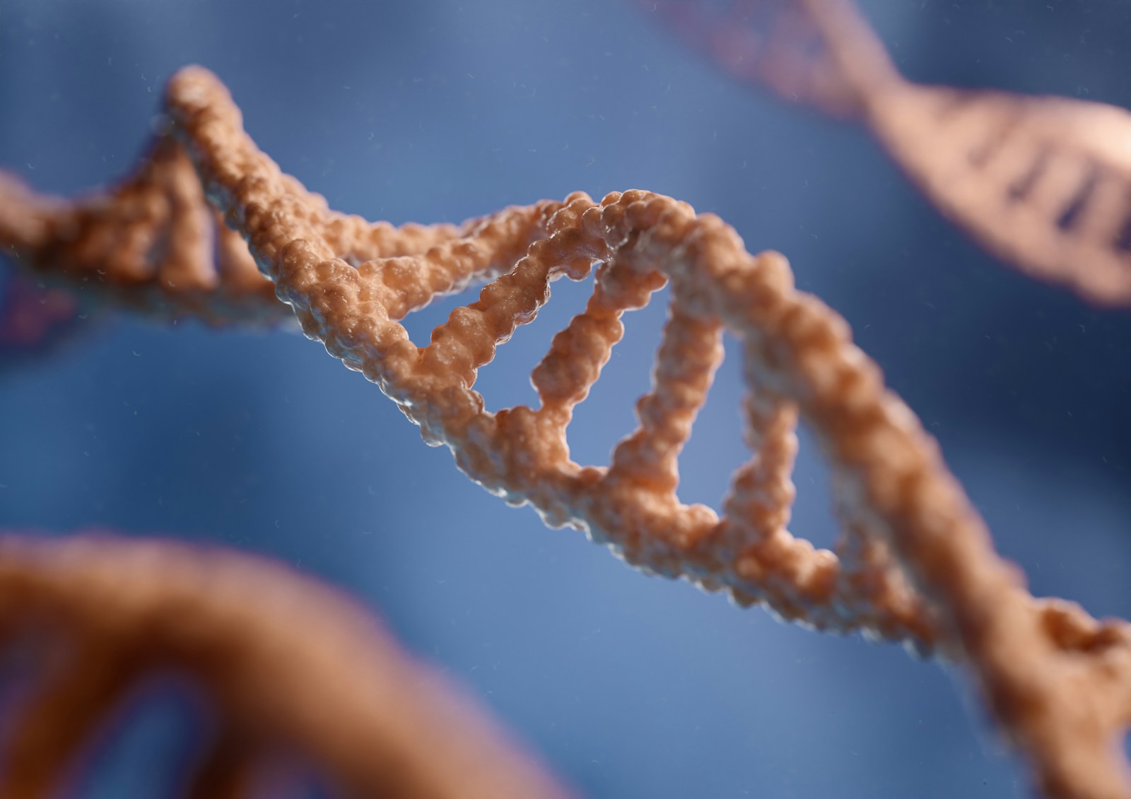 Our DNA Holds Clues to Distant Ancestors and Humanity’s Ancient Migrations