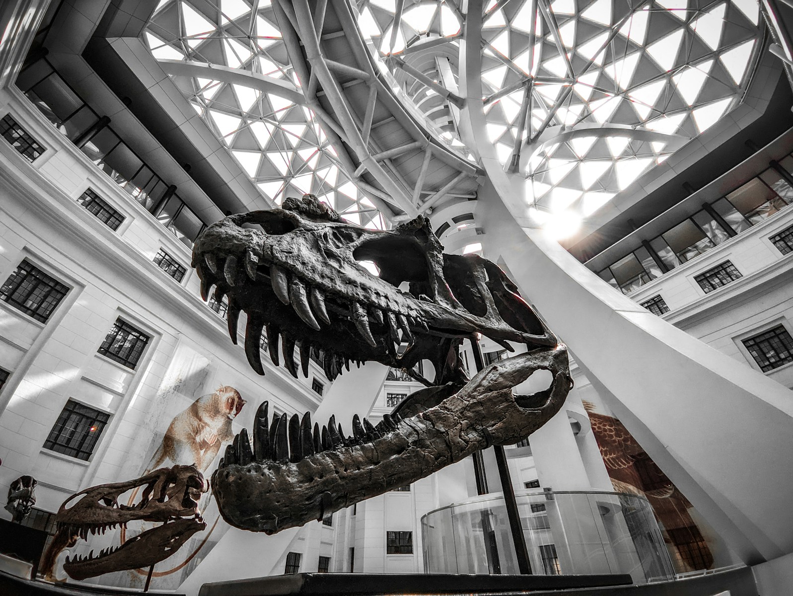 New Clues Suggest the Dinosaurs May Have Been Even Stranger Than We Imagined