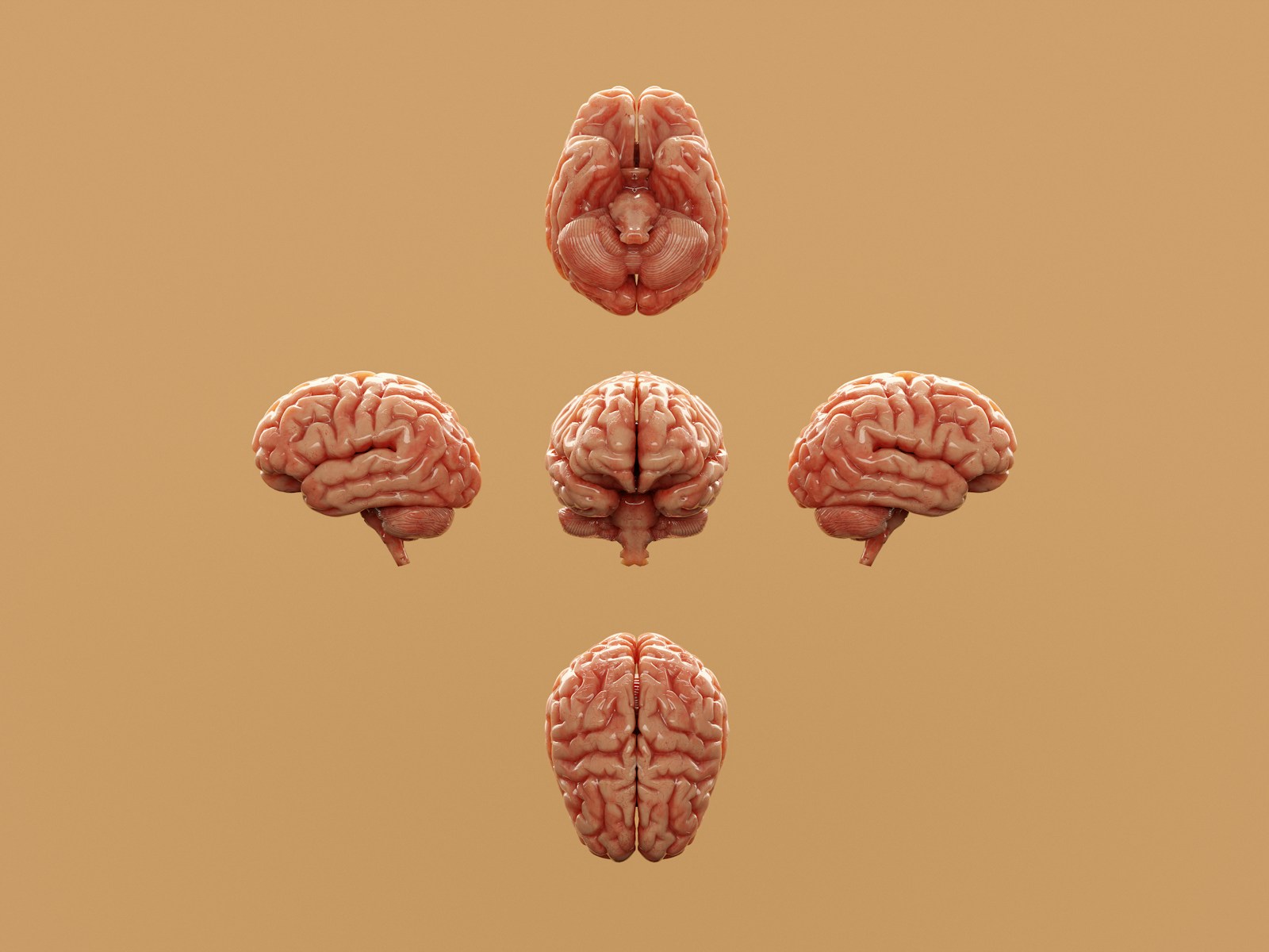 10 Brain Phenomena So Strange They Border on the Paranormal