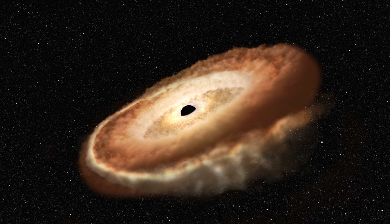 What Are Black Holes Really Like Inside?