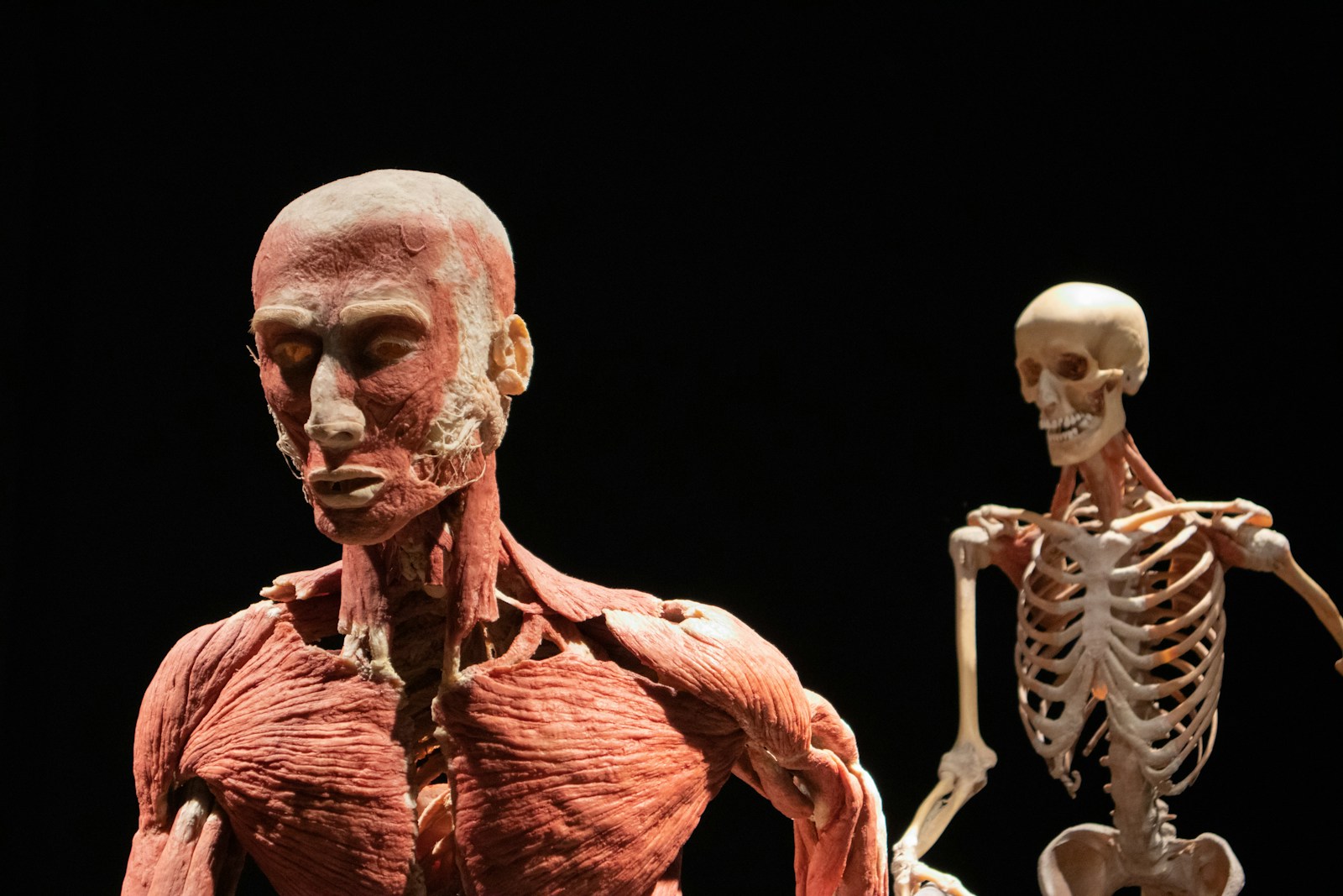 12 Unexplained Biological Anomalies That Shouldn’t Exist