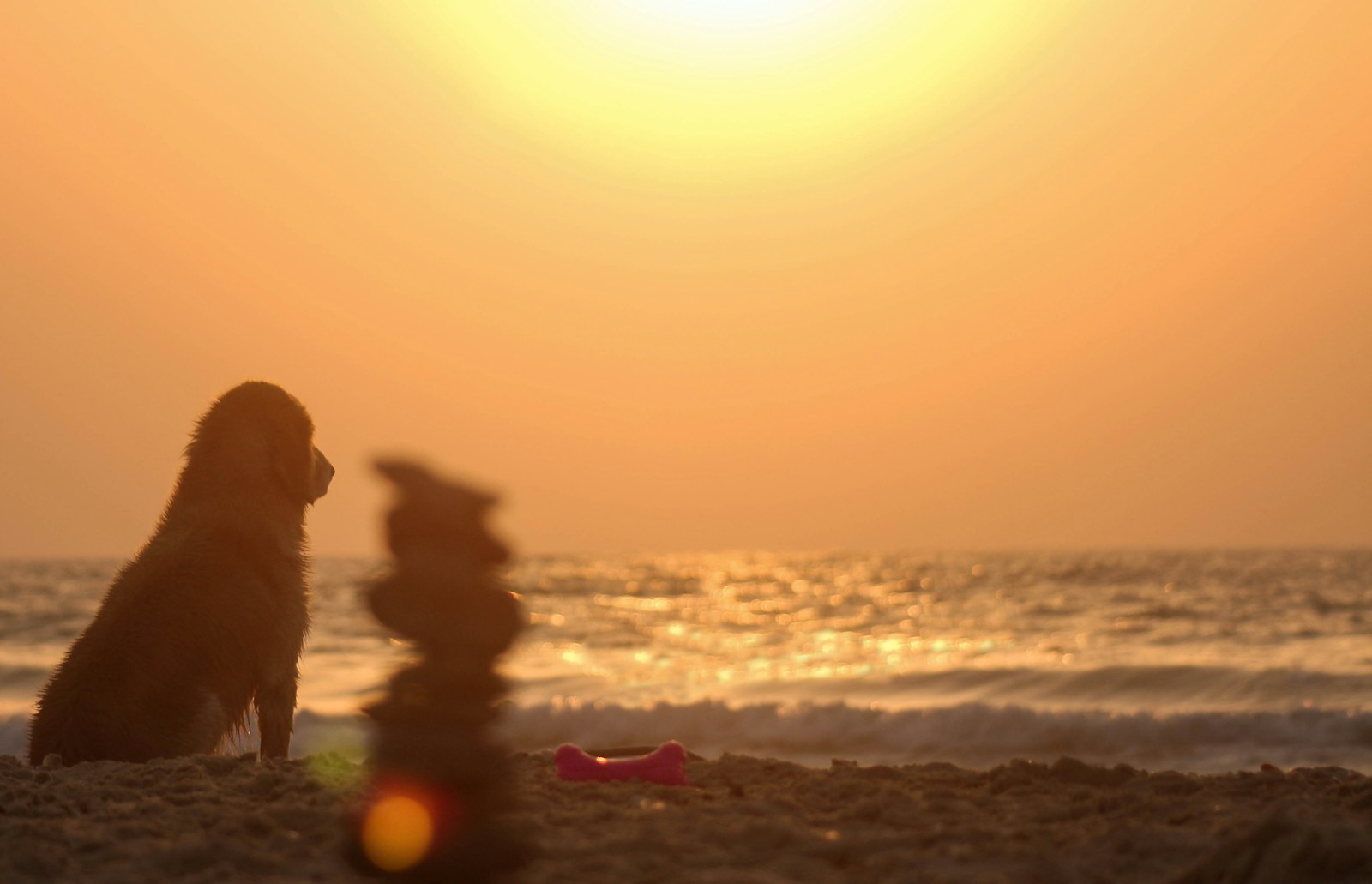 Summer Could Be 42 Days Longer by the End of the Century, Scientists Say