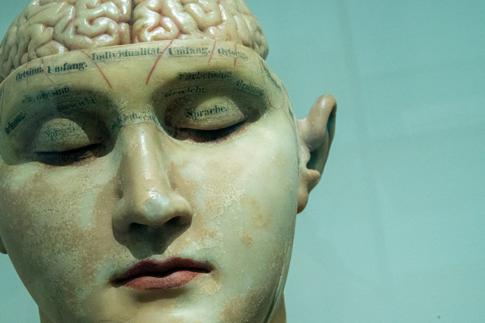 Our Digital Afterlife: Uploading Consciousness?