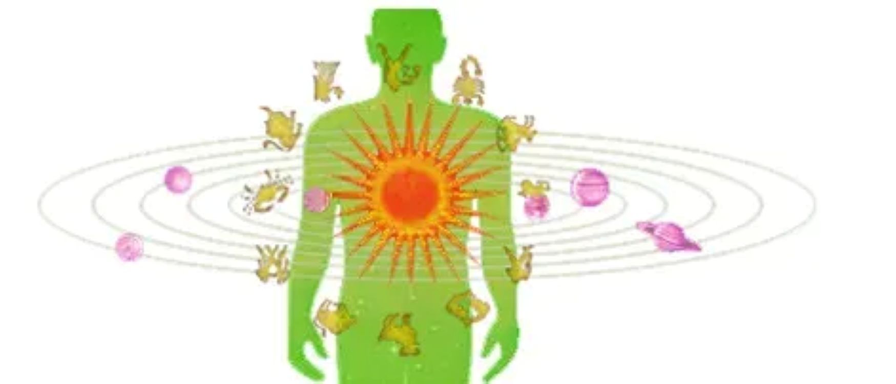 Could Astrology Reflect Real Cosmic Influences on Human Biology?