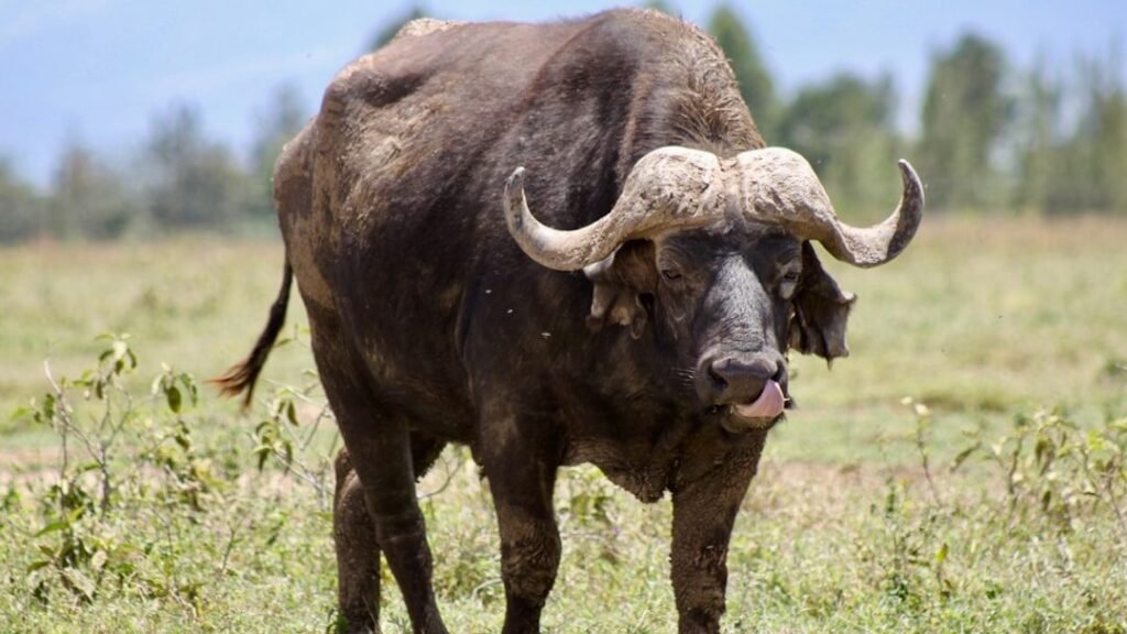 The Zodiac Signs Who Run Away From Conflict