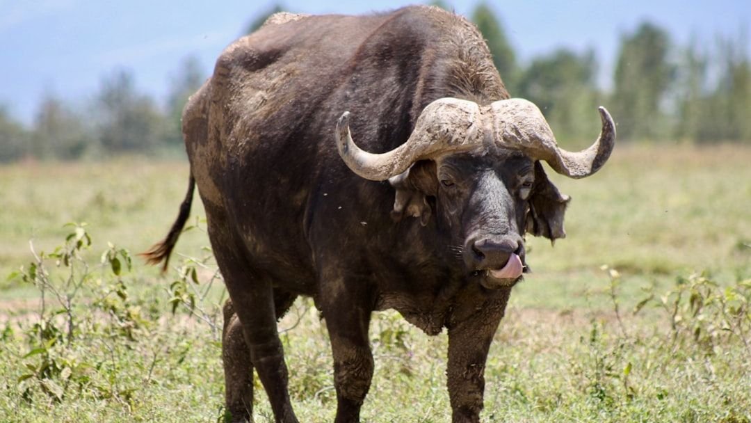 The Zodiac Signs Who Run Away From Conflict