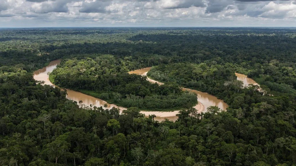 The Amazon Rainforest Is Hiding Ancient Cities We Are Only Now Finding