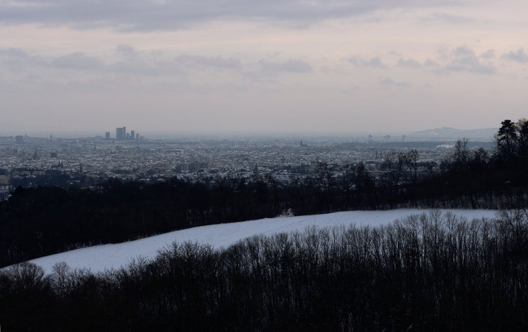 A Polar Vortex Shake-Up Is Coming: Stratospheric Warming Signals a Colder January