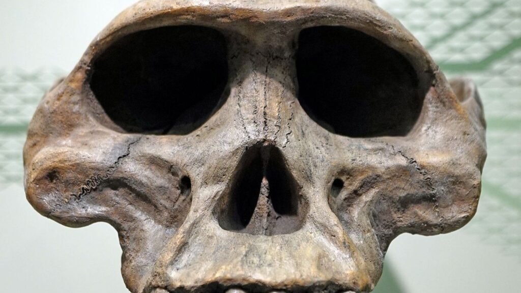 10 Extraordinary Fossils That Changed Our Understanding of Evolution