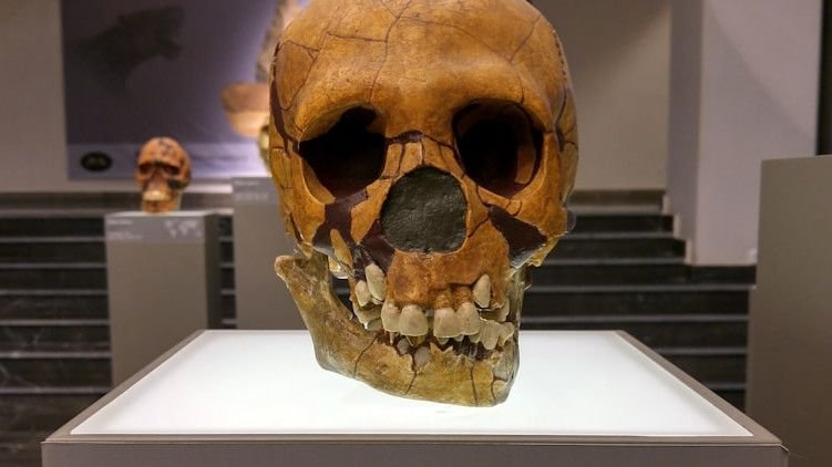 The Theory That Ancient Humans Were Not Alone on Earth